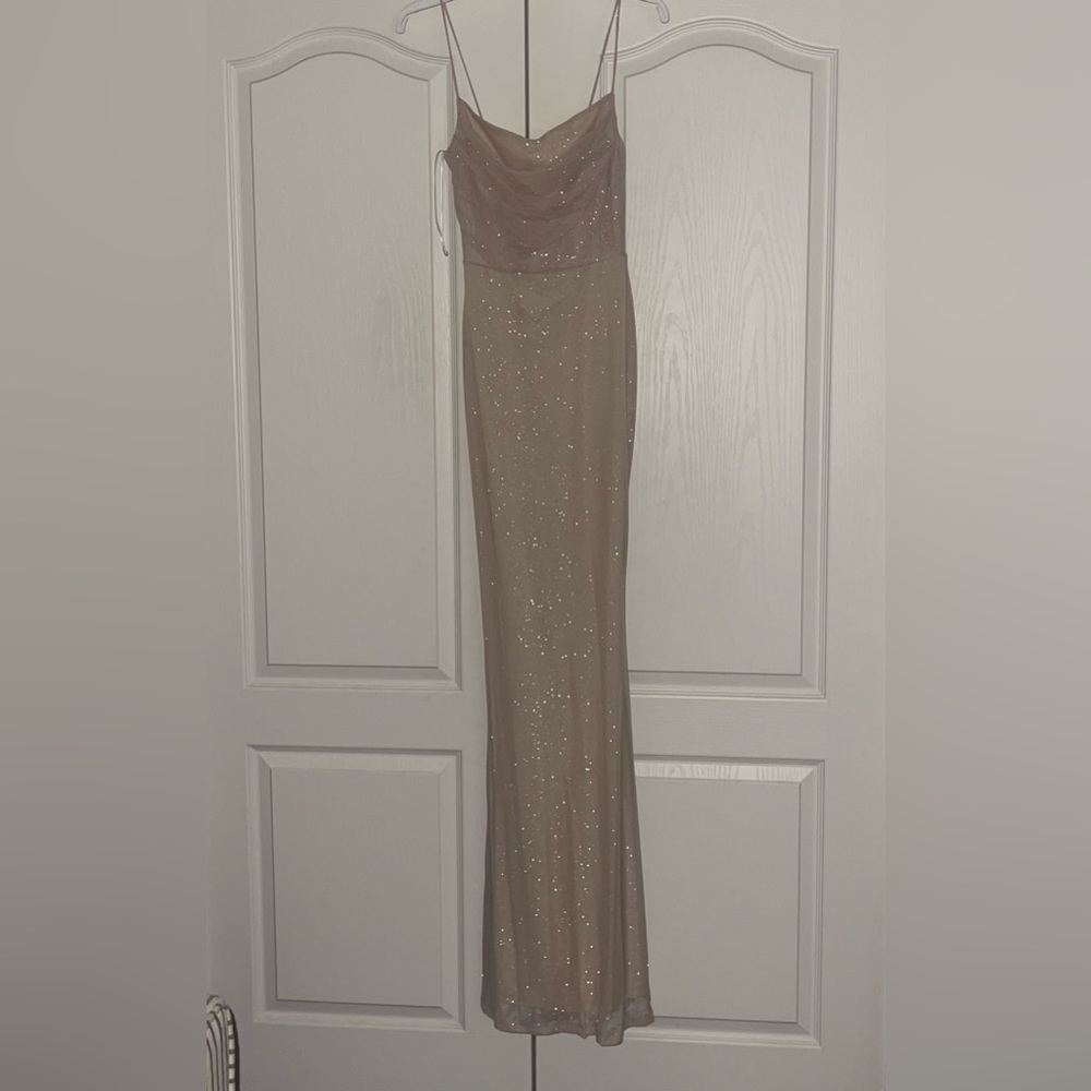 Windsor dress, nude and sparkly, tight fitting, maxi, loose top, never worn